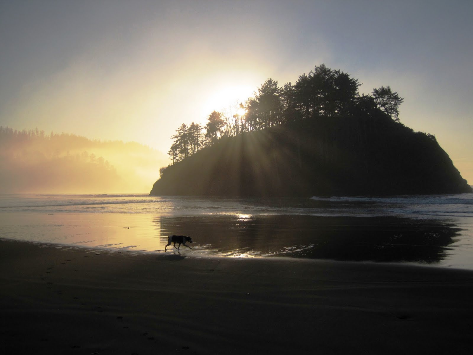 Swerving Excursions Fat biking in Neskowin, Oregon