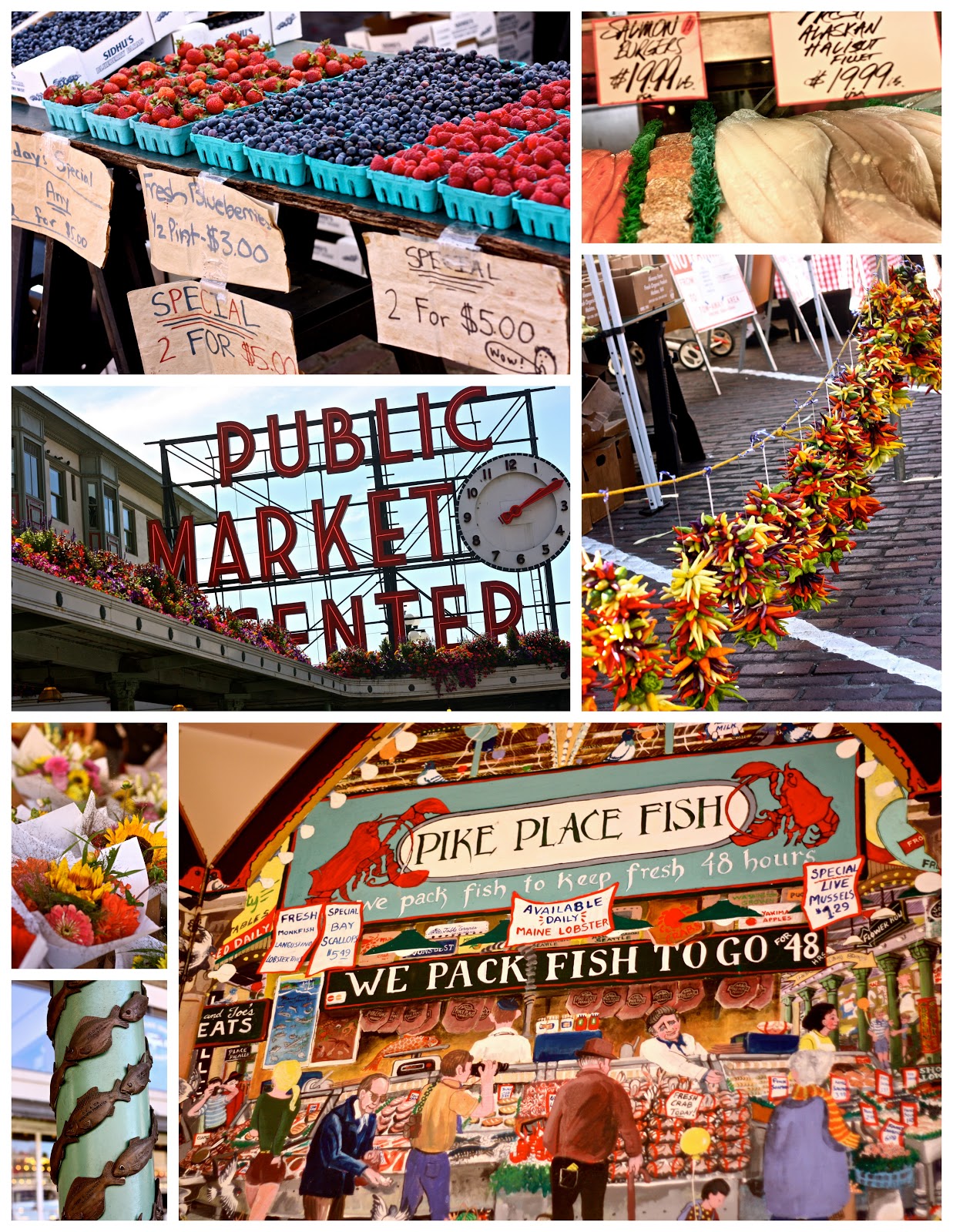 Life of Tracy Hello Seattle